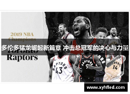 多伦多猛龙崛起新篇章 冲击总冠军的决心与力量 多伦多猛龙崛起新篇章 冲击总冠军的决心与力量